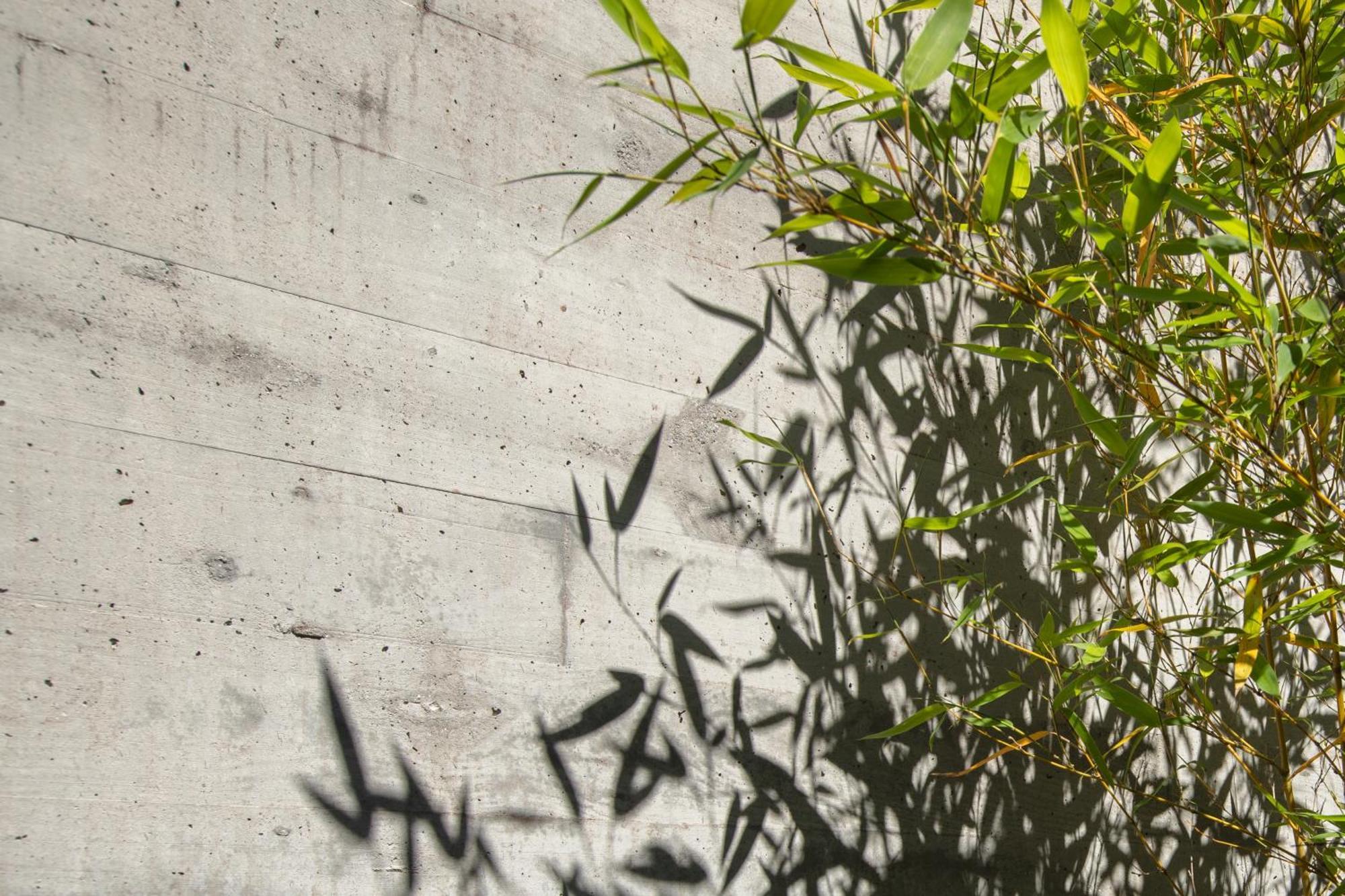 Villa Con Piscina Y Jardin, Santiago De Compostela Teo Εξωτερικό φωτογραφία